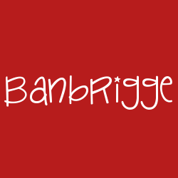 Banbrigge