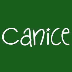 Canice