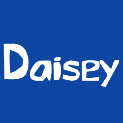 Daisey