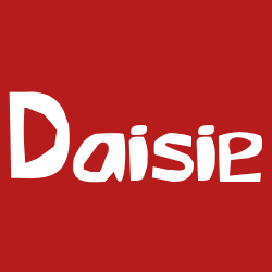 Daisie