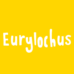 Eurylochus