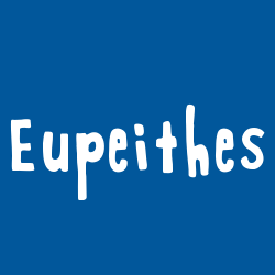 Eupeithes