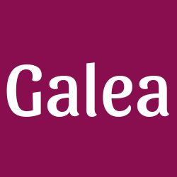 Galea