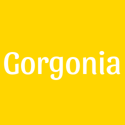 Gorgonia