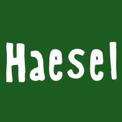 Haesel