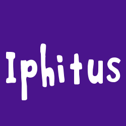 Iphitus
