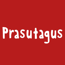 Prasutagus