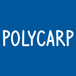 Polycarp