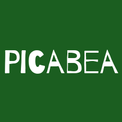 Picabea