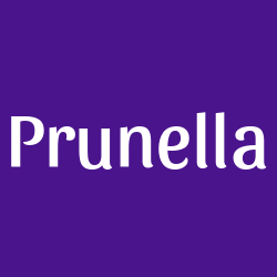 Prunella