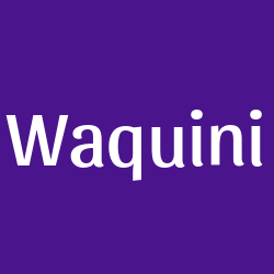 Waquini