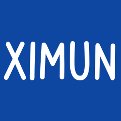 Ximun