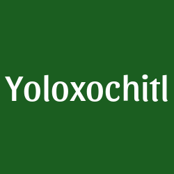 Yoloxochitl