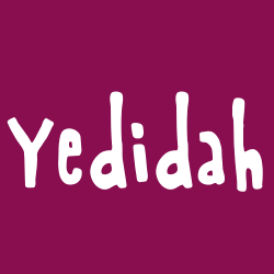 Yedidah