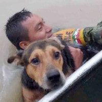 Salvar a un perro de ahogarse